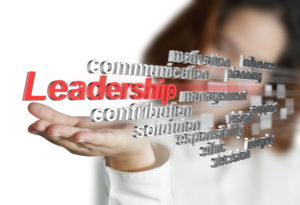 3d leadership skill as concept